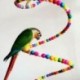 Kisállat papagáj játék pattogó ketrec madár lógó spirál létra Cockatoo Parakeet T T9F2