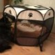 Hordozható összecsukható házi kedvenc sátor Kutyaház ketrec Kutya macska sátor Playpen Puppy Kennel N3P1