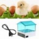 Digitális hőmérsékletű Small Brooder 4 Mini keltetőtojás-inkubátor-keltető a Q3N6-hoz