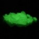 50x 1,6 cm-es csali horgászcsikó Grub Soft Baits Worms Noctilucent Night Glow W2R6