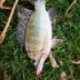 3X (Heng Jia horgászcsalók fémcsali Minnow vibe háromszoros kampóval 5 db 7 G Q2Y4