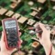 6X (az ANENG 19999 számolja az AN870 digitális multimétert, True VMS feszültségmérő Cur V6Z1