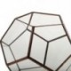 2X (üveg Pentagon geometriai terrárium tartály ablakpárkány dekoráció virág Po S2V7