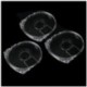 3 X UMD tok védőtok a Sony PSP Game Transparent C1Z6 készülékhez