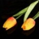 10db tulipán virág latex esküvői csokor dekorációhoz (narancs tulipán) PK K3F6 K2Y0