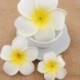 6X (100 db hawaii frangipani hab virág dekoráció esküvői kézművességhez - M8P7