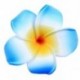 6 db női Plumeria virágos hajvágó kiegészítők Barrette hawaii esküvő Q1O6