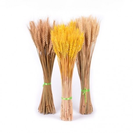 50db Valódi búza természetes szárított virágo esküvői partira Otthoni üzlet dekoráció DIY kézműves Home Decor búza