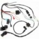 A CDI kábelköteg-állórész hasonló kábelezési képessége az ATV Electric Quad 50 50 90 90 110CC-hez