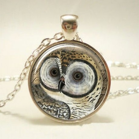 Vintage bagoly Cabochon üveg kupola tibeti ezüst medál lánc nyaklánc ékszerek