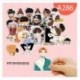 A284 - 30db-os BTS matrica szett - a banda tagok rajzolt formában - KPOP - BTS - Bangtan Boys