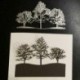 Nincs szín - Karácsonyi hófa fémvágás meghal a stencil scrapbook dombornyomó kártya kézműves