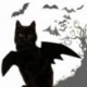 Nincs szín - Állat kisállat kutya macska denevér vámpír Halloween jelmez ruha ruha szárnyak