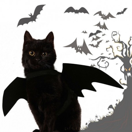 Nincs szín - Állat kisállat kutya macska denevér vámpír Halloween jelmez ruha ruha szárnyak