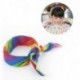 Nincs szín - Rainbow Bandana Gay Pride Stripe fejpánt fejkendő LMBT fesztivál haj tartozék