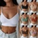 fehér - Comfort Women zökkenőmentes tornaterem jóga sportmelltartó Crop Top vékony mellény Stretch Bralette