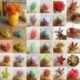 6 * - Mesterséges mini műanyag miniatűr pozsgás növények kert otthoni irodai dekoráció barkácsolás