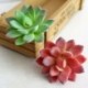 6 * - Mesterséges mini műanyag miniatűr pozsgás növények kert otthoni irodai dekoráció barkácsolás