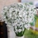Nincs szín - Mesterséges Gypsophila virág hamis selyem virág csokor lakberendezési esküvő