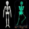 Nincs szín - Halloween kellékek világító emberi csontváz függő dekoráció szabadtéri party dekoráció