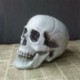 9 * 10 * 12,5 cm - Műanyag mini emberi koponya dekor prop csontváz fej Halloween kávézók dekoráció