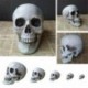 9 * 10 * 12,5 cm - Műanyag mini emberi koponya dekor prop csontváz fej Halloween kávézók dekoráció