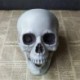 9 * 10 * 12,5 cm - Műanyag mini emberi koponya dekor prop csontváz fej Halloween kávézók dekoráció