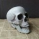 9 * 10 * 12,5 cm - Műanyag mini emberi koponya dekor prop csontváz fej Halloween kávézók dekoráció