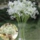 Nincs szín - Mesterséges gypsophila virág virág hamis selyem esküvői party csokor lakberendezés