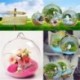 Csepp alakú - Üveg virágültető váza otthoni kerti dekoráció fali terrárium konténer USA