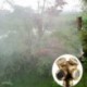 4 lyuk - Lyuk Sárgaréz Spray ködösítő fúvóka Sprinkler Head Garden Farm öntözőrendszer 1PC