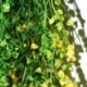Sárga - Mesterségesen lógó borostyánfüzér növények szőlő hamis lombozat virág wisteria Home USA
