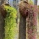 Lila - Mesterségesen lógó borostyánfüzér növények szőlő hamis lombozat virág wisteria Home USA