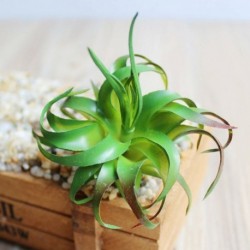 2 * - Mesterséges pozsgás növények kertje miniatűr hamis kaktusz otthoni virág dekoráció barkácsolás