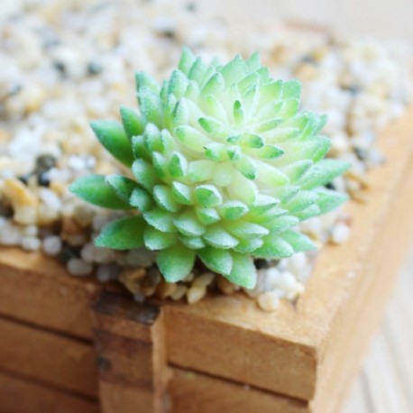 9 * - Mesterséges pozsgás növények kertje miniatűr hamis kaktusz otthoni virág dekoráció barkácsolás