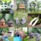 1PC Gary egyenes lépés - Figura miniatűr kézműves növény cserepes tündér babaház dekor kerti dísz DIY CA