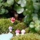 Nincs szín - 20x Gombás Tündérkert Miniatúrák Tartozékok Gyanta-Kézműves Mikro Táj USA