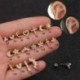 * 5 Arany - 1db Mini gyémántok gyűrűs rúd fülmászó Tragus Helix piercing fülbevaló