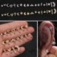 * 5 Arany - 1db Mini gyémántok gyűrűs rúd fülmászó Tragus Helix piercing fülbevaló