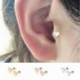 Rózsa arany - 2db Heart Star porc Tragus kagyló Helix felső fülbevaló fülbevaló szúrás Egyesült Királyságban