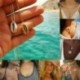N018 - Természetes héj többrétegű nyaklánc Arany tengeri kagyló medál Chocker Beach ékszerek