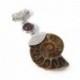 Fekete ónix - Rózsakvarc AMMONIT FOSSIL medál csakra reiki gyógyító amulett energia US