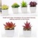 Mesterséges növények cserépszimulációs pozsgás növényekkel Mini bonsai cserepes, zöld hamis növények asztaldísz