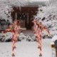 Kibocsátó szín: Napenergiával működő - Napelemes lámpa Kerti lámpa karácsonyi dekoráció Gyep Candy Cane Lights