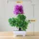 Szín: miniruyi rózsaszín - 1 db mesterséges növények cserepes zöld bonsai virágcserép bonsai kerti dekoráció