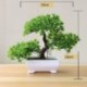 Szín: yinkesong lila - Mesterséges növények Bonsai kis fa cserepes növények Hamis virágok Cserepes díszek otthoni