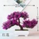 Szín: konyhai lila piros - 1 db mesterséges növények Bonsai kis zöldfenyő cserepes növények szimuláció hamis virágok