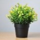 Szín: yingxueqiu sárga - 1 db mesterséges zöld növények Bonsai műanyag virágok kis fa cserepes növény Cserepes díszek