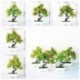 Szín: 16 lajiao - Mesterséges növény Multi stílusú mini cserepes bonsai kis gyümölcsfa cserepes esküvőre Otthon