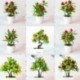 Szín: 16 taozi - Mesterséges növény Multi stílusú mini cserepes bonsai kis gyümölcsfa cserepes esküvőre Otthon